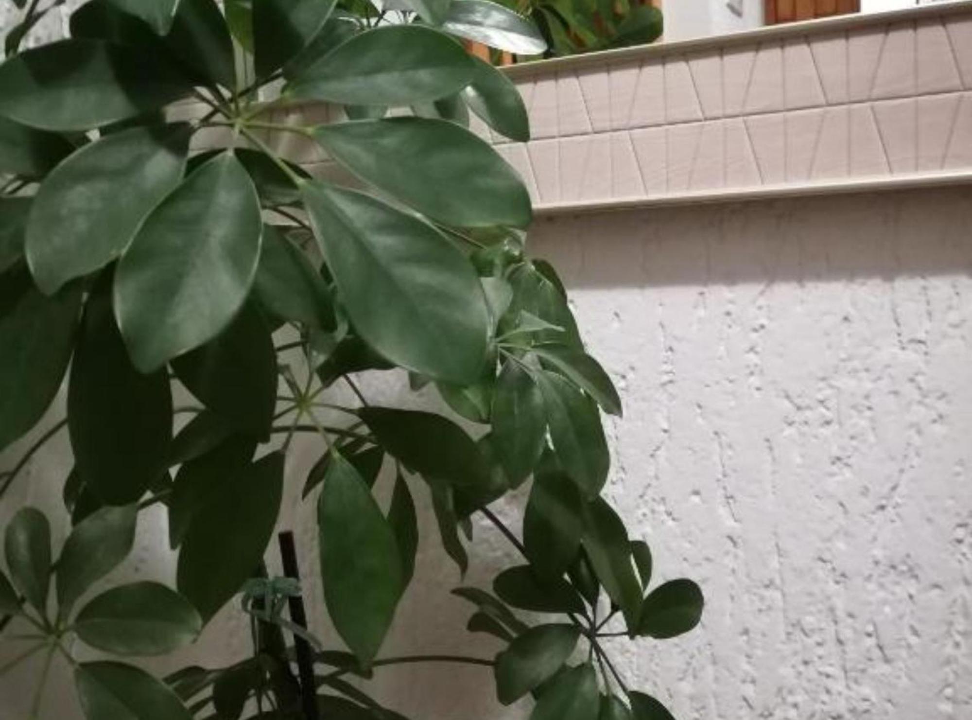 Apartman Olymp Osijek-Garaza Dış mekan fotoğraf