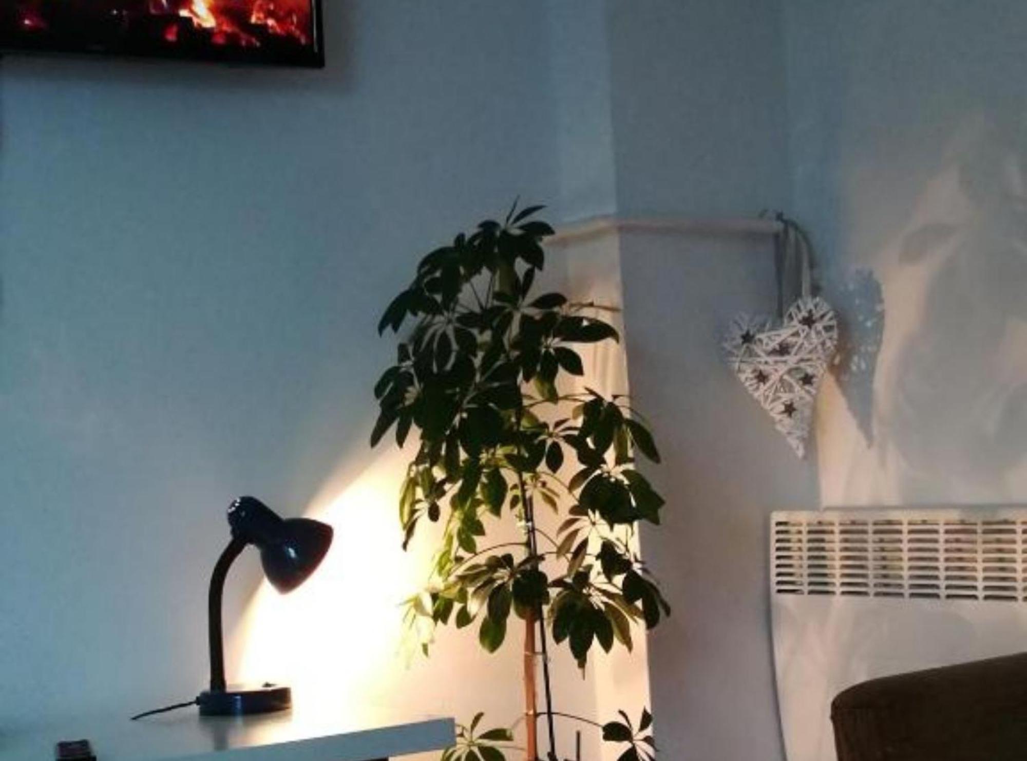 Apartman Olymp Osijek-Garaza Dış mekan fotoğraf